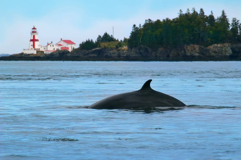 Top Secret Summer Destinations in Canada By Boardwalk Resort Vacations 2