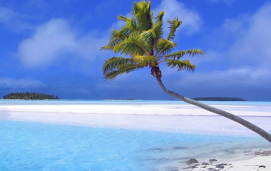 A leaning palm tree over clear turquoise water on a quiet tropical beach for Boardwalk Resort Vacations Caribbean destinations.